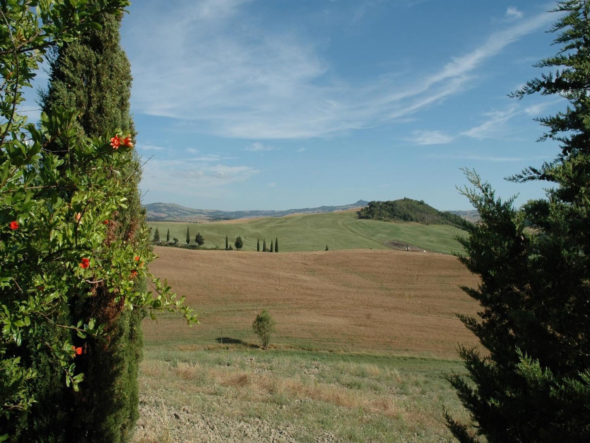 Modern Farmhouse In Pienza With Pool Eksteriør billede